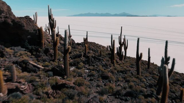 Aerial view of Incahuasi Island covered with giant cacti in the Salar de Uyuni, Bolivia. Rocky island rising from vast white salt flats under clear sky, unique desert landscape.