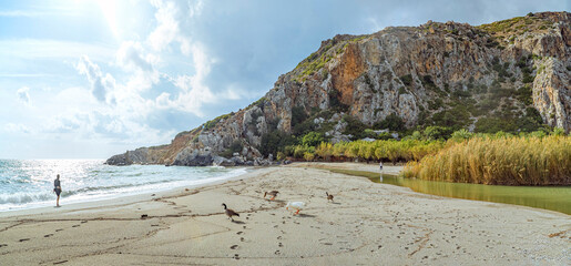 Preveli Beach, Crete, Greece: Beach with geese and a person near a river and cliff © Elsworth Frobisher