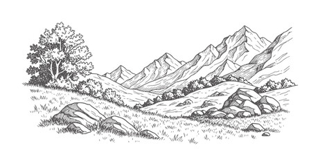 Hand drawn of a mountain valley with a tree and rocks grass © Afsar