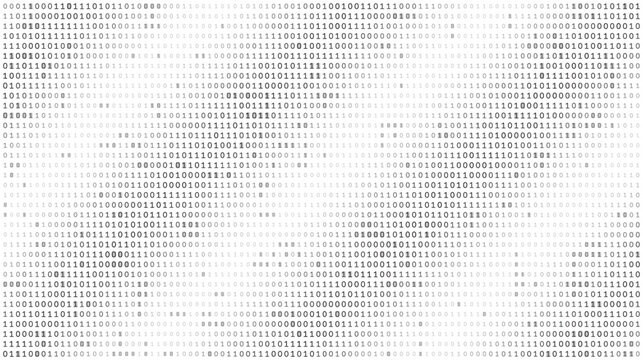 Monolithic Data Field - High Density Binary Code Grid for Enterprise Computing