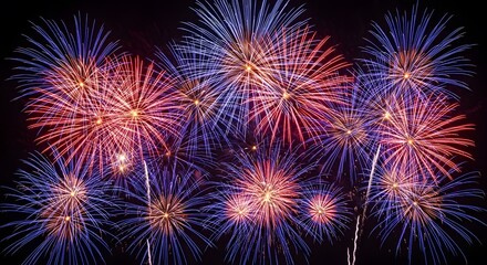 Fototapeta premium Vibrant fireworks explode on independence day celebrations