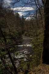 Fototapeta premium deep creek trailhead, great smoky mountain national park
