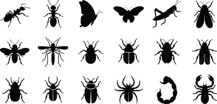 Black insect silhouettes collection featuring ants, butterflies, beetles, spiders, scorpions, and grasshoppers isolated on white background for nature and biology design