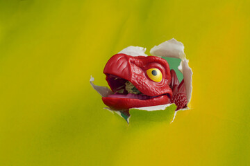 A little red stegosaurus toy bursts out tearing through yellow green paper background © Andi