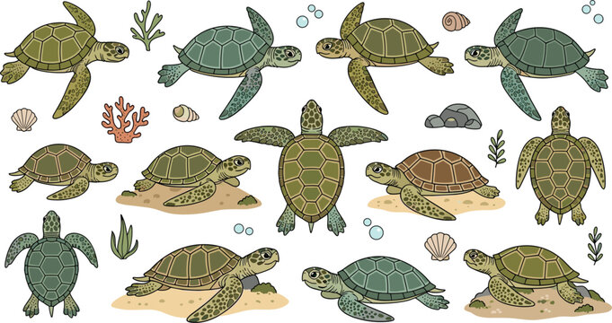 Collection of hand drawn sea turtle vector illustrations featuring various poses, aquatic life elements like coral and shells, isolated on white background.