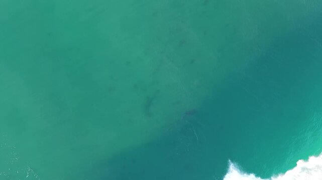 Bond Beach ocean waves green blue NSW