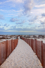 Beach fencing and hummocky dunes at Bienville Beach in Dauphin Island Alabama © Carmen K. Sisson