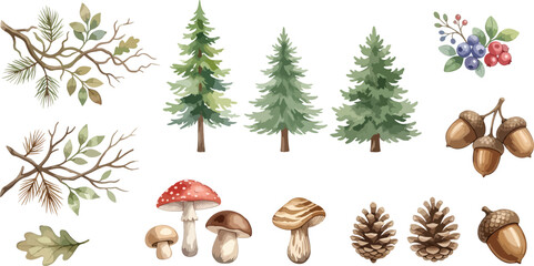Watercolor style vector collection of woodland elements, pine trees, branches, mushrooms, acorns, pine cones, berries, isolated, no background, transparent, autumn and nature-themed design © Arlen