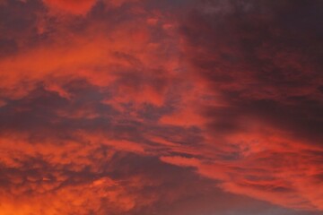 Fototapeta premium sky view in the afternoon in tropical areas