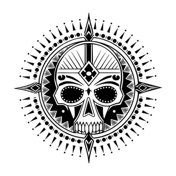 Glyph style illustration depicting detailed maxilla bone