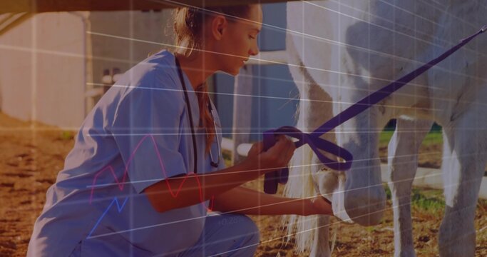 Kneeling vet in scrubs examining horse hoof by barn, with halter, stethoscope and waveform overlay