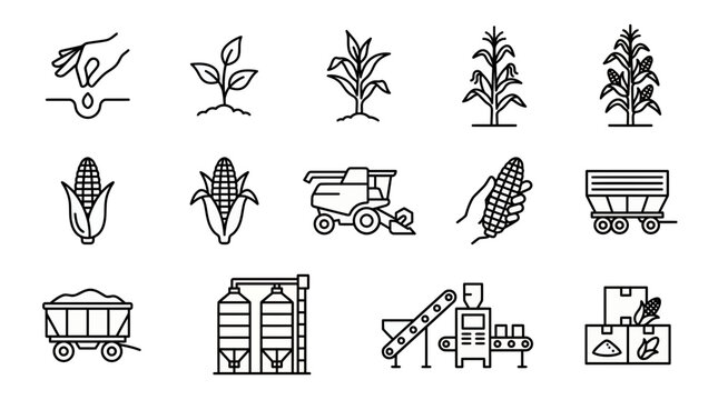 Corn agriculture and maize farming industry icons featuring seed planting growth harvest machinery and grain processing symbols, concept for farm infographics, branding and food technology
