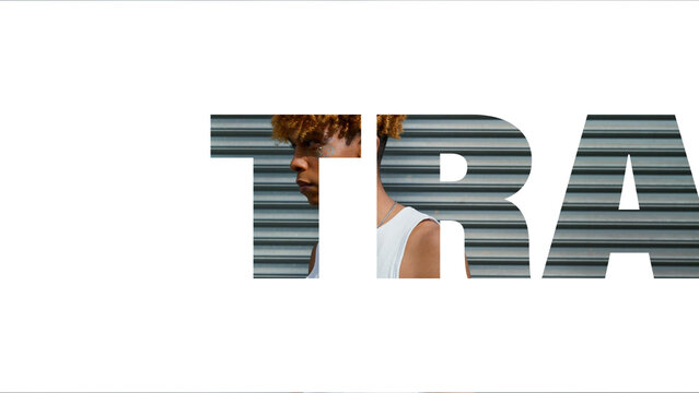 Transition Animation