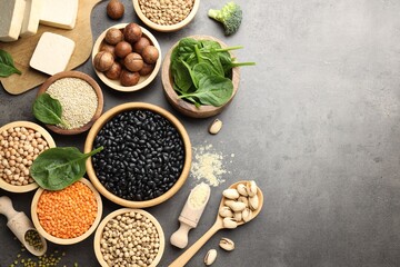 Fototapeta premium Different vegetarian food products rich in protein on grey table, flat lay