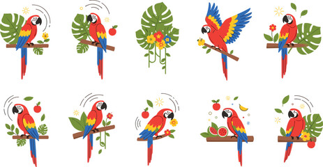 Tropical scarlet macaw parrot vector illustration set featuring colorful birds perched on branches with exotic jungle leaves and fruit © Bappi