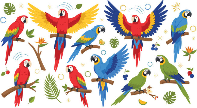 Set of tropical macaw parrot vector illustrations with red blue and green birds perched on branches with jungle leaves