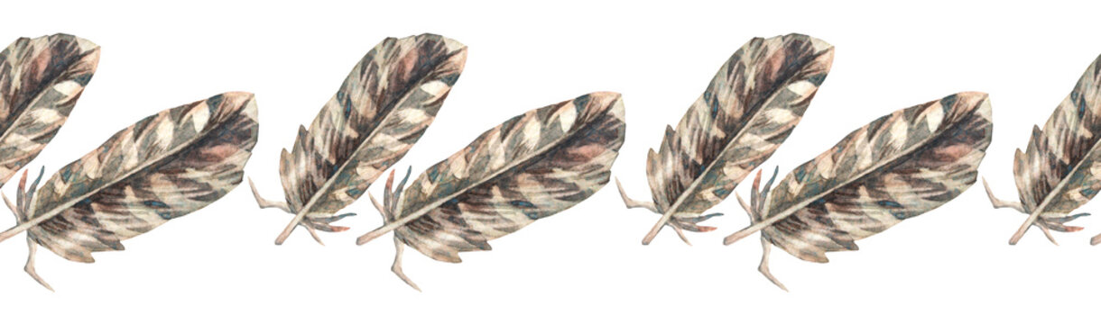 Watercolor seamless border with brown and black bird feather with stripe and ornate on white background. Hand-drawn plume. Wildlife art. Rim for sticker wallpaper or wrapping. Celebration wedding