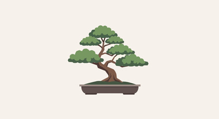 Bonsai tree in a pot.