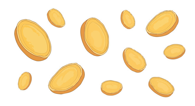 Fresh Ginger Root Slices Floating Isolated on White Background