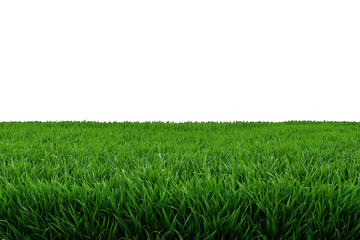 Obraz premium Fresh green grass growing on transparent background creating seamless lawn edge for gardening and natural themes