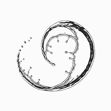 A stylized black and white illustration depicts a dynamic water splash forming a perfect logarithmic spiral shape against a white background.