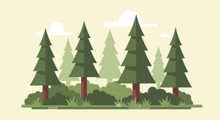 Group of Evergreen Pine Trees.