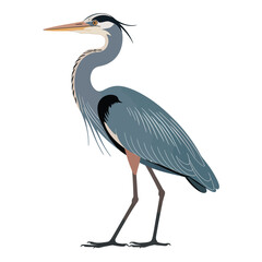 Obraz premium heron on the beach