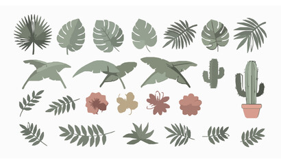 Tropical botanical icon set with palm monstera cactus and exotic plant line vector collection © BijoyChandra