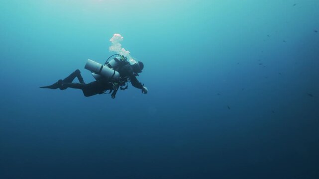 Silhouettes of scuba divers ascending toward the ocean surface in the Red Sea. Sunlight filters through clear blue water as the divers slowly rise, creating a dramatic underwater scene.