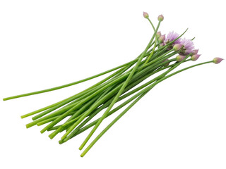 Fototapeta premium Fresh chives with purple flowers isolated on transparent background