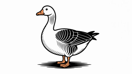 Obraz premium Goose standing alone in a simple illustration style with white background and black and white feathers