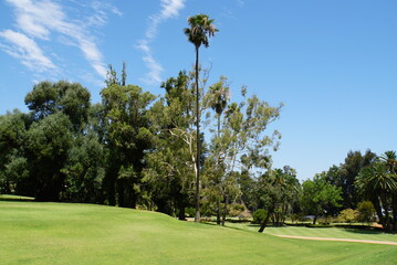 Fototapeta premium Government House Garden in Perth - Capital of Western Australia