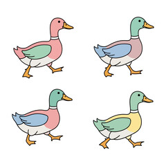 Fototapeta premium Exploring the Wonderful World of Ducks and Their Habitats