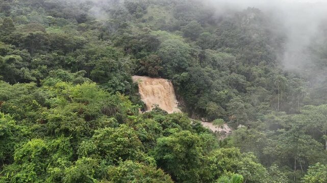 Cascada entre el bosque