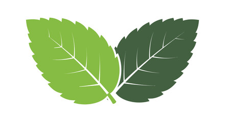 Two vibrant green leaves intertwine showcasing a striking botanical design silhouette high quality professional detailed modern © nhpvect02