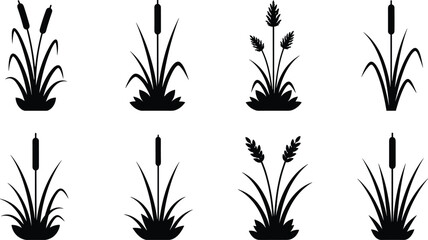 Black vector plant silhouette collection featuring tropical palm leaves fern fronds succulent aloe vera and pumpkin shapes for garden design isolated on white background © MSTMUNMUN
