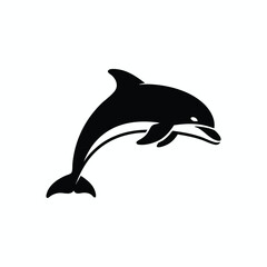 Obraz premium A sleek black dolphin leaps gracefully, its body curved, white accents highlight its form