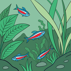 Fototapeta premium Neon Tetra Fish Swimming in Green Planted Aquarium