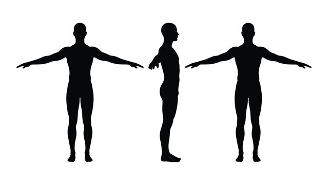 Three black silhouette figures standing in different poses on white background for anatomy or dance illustration