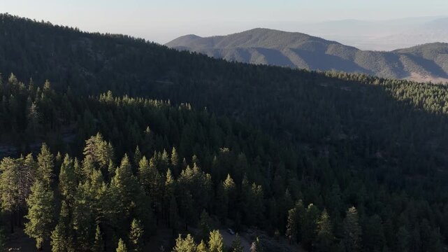 Mt Pinos Sunset Aerial Shot of Forest Right Los Padres Forest California USA