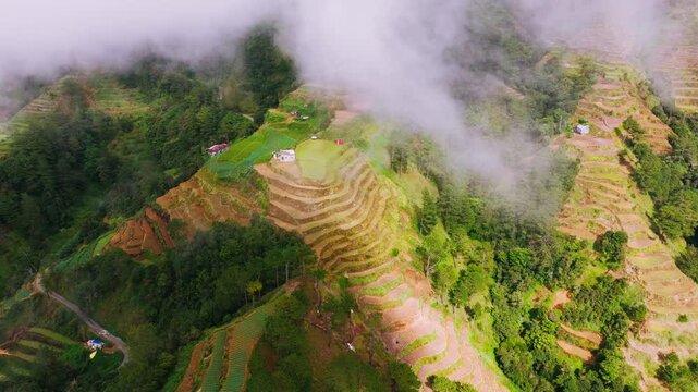 Clouds drifting above rice terraces, Halsema Highroad Atok Benguet, Philippines