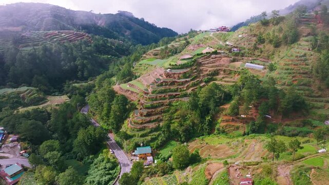 Green terraced agriculture landscape in Benguet mountain highlands, Philippines