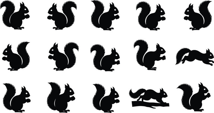 Black silhouette squirrel illustrations in multiple poses including sitting, standing, leaping, artistic wildlife design for nature artwork
