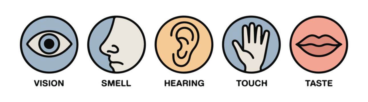 Five human senses icon set vision smell hearing touch and taste represented by eye nose ear hand and lips
