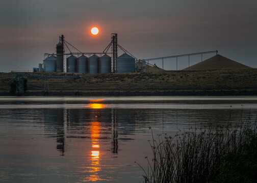 USA, WA, Pasco.  Hood Park on the Snake River.  Tri Cities Grain, Tidewater Terminals.