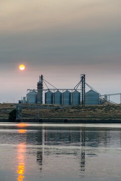 USA, WA, Pasco.  Hood Park on the Snake River.  Tri Cities Grain, Tidewater Terminals.