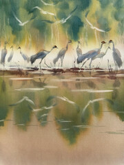 Obraz premium Group of cranes in wetland watercolor background