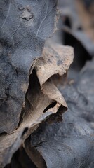 Close Up View Of Layered Dark And Brown Material Pieces