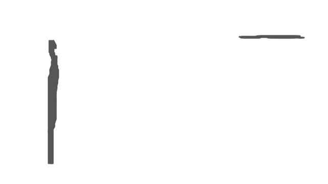 On a white background, large and small sticks are spinning, as if flying through the air.