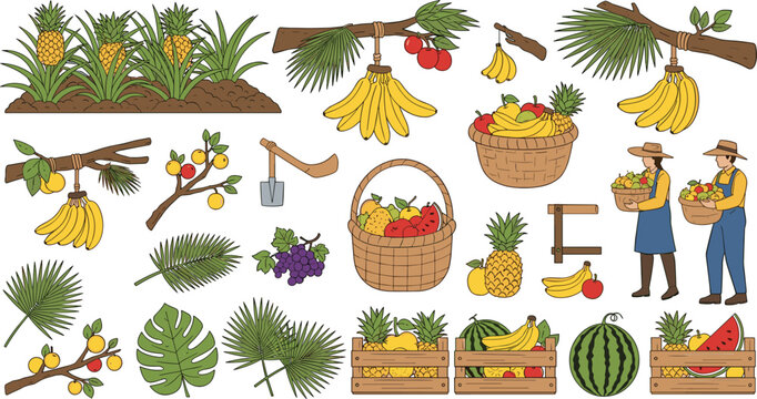Tropical fruit harvest collection with bananas pineapples baskets farmers palm leaves agriculture vector illustration set